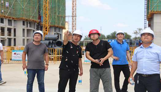 kok网页版登录界面（中国）有限公司董事会巡检圆满完成